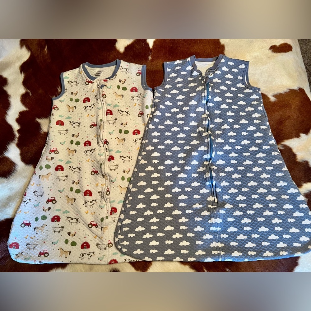 Hudson Baby Infant Premium Quilted Sleeveless Sleeping Bag 2-Pack, 18-24 Months